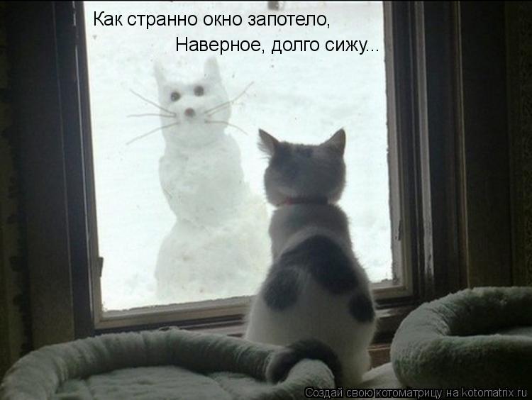 Как странно окно запотело, Наверное, долго сижу...... Котоматрица: Как странно окно запотело, Наверное, долго сижу...