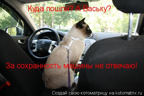 Куда пошли? А Ваську? Ну и ладно! За сохранность машины не отвечаю! Куда пошли? А Ваську? За сохранн... Котоматрица: Куда пошли? А Ваську? Ну и ладно! За сохранность машины не отвечаю! Куда пошли? А Ваську? За сохранность машины не отвечаю!