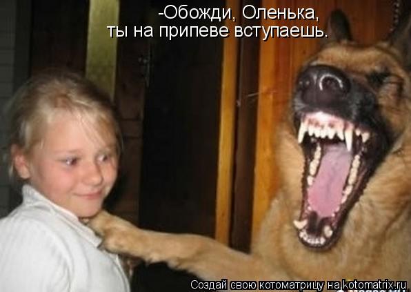 -Обожди, Оленька, ты на припеве вступаешь.... Котоматрица: -Обожди, Оленька, ты на припеве вступаешь.