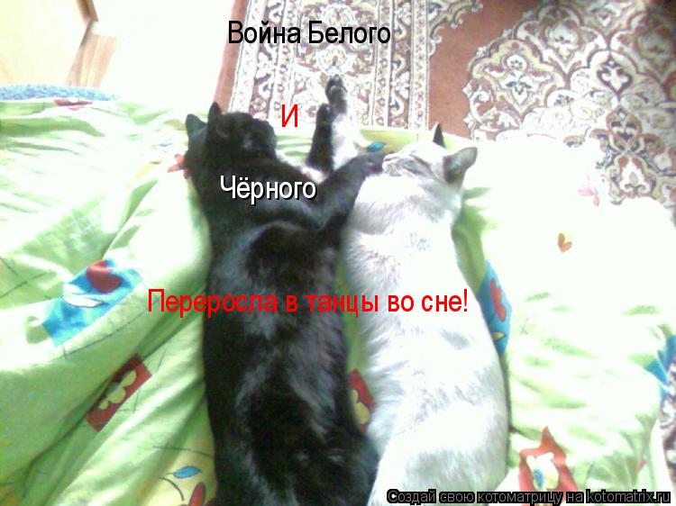 Война Белого Чёрного И Переросла в танцы во сне!... Котоматрица: Война Белого Чёрного И Переросла в танцы во сне!