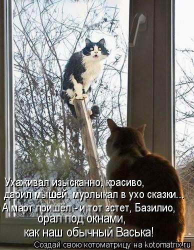 Ухаживал изысканно, красиво, дарил мышей, мурлыкал в ухо сказки….. А март пришёл - и тот эстет, Базил... Котоматрица: Ухаживал изысканно, красиво, дарил мышей, мурлыкал в ухо сказки….. А март пришёл - и тот эстет, Базилио, орал под окнами, как наш обычный Вась