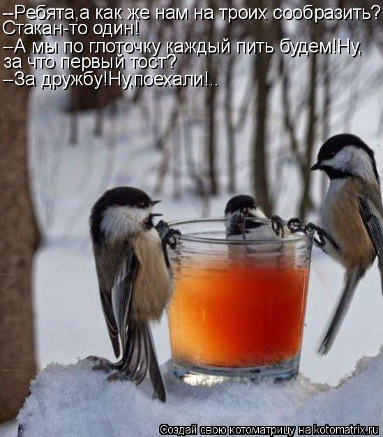 --Ребята,а как же нам на троих сообразить? Стакан-то один! --А мы по глоточку каждый пить будем!Ну, з... Котоматрица: --Ребята,а как же нам на троих сообразить? Стакан-то один! --А мы по глоточку каждый пить будем!Ну, за что первый тост? --За дружбу!Ну,поехали!..