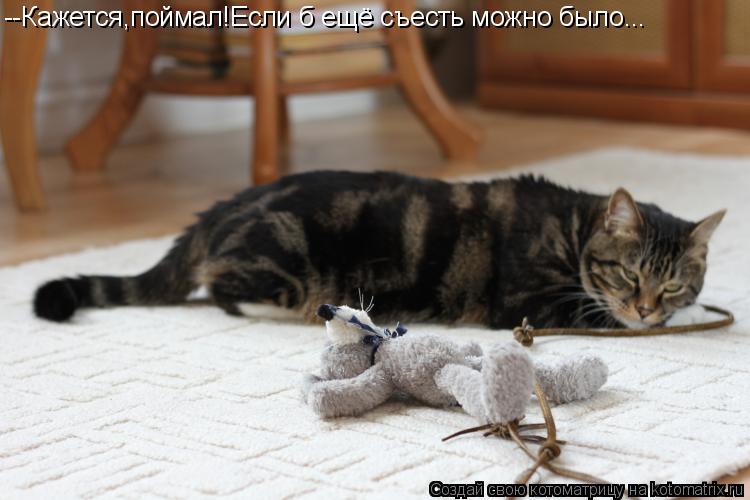 --Кажется,поймал!Если б ещё съесть можно было...... Котоматрица: --Кажется,поймал!Если б ещё съесть можно было...