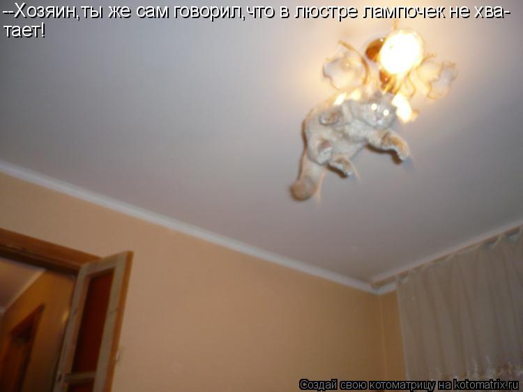 --Хозяин,ты же сам говорил,что в люстре лампочек не хва- тает!... Котоматрица: --Хозяин,ты же сам говорил,что в люстре лампочек не хва- тает!
