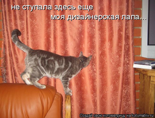 не ступала здесь еще моя дизайнерская лапа...... Котоматрица: не ступала здесь еще моя дизайнерская лапа...