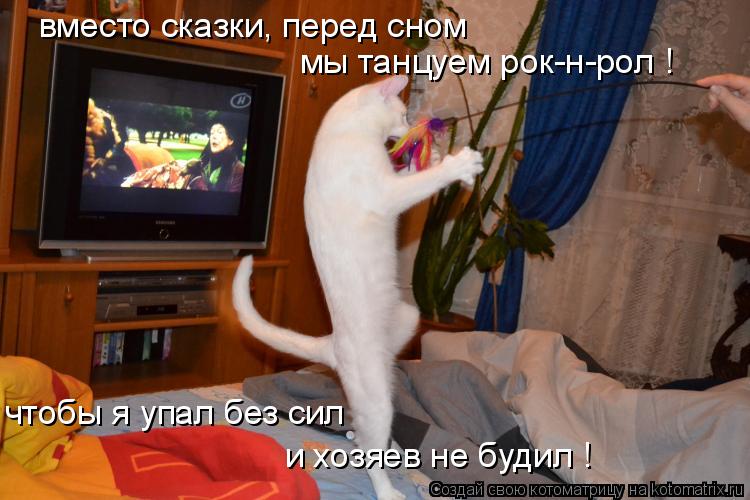 вместо сказки, перед сном мы танцуем рок-н-рол ! чтобы я упал без сил и хозяев не будил !... Котоматрица: вместо сказки, перед сном мы танцуем рок-н-рол ! чтобы я упал без сил и хозяев не будил !