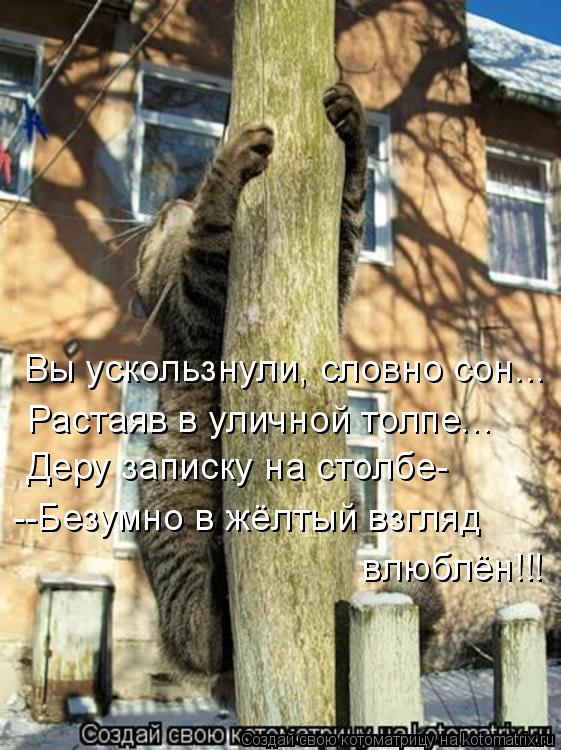 Вы ускользнули, словно сон... Растаяв в уличной толпе... Деру записку на столбе- --Безумно в жёлтый в... Котоматрица: Вы ускользнули, словно сон... Растаяв в уличной толпе... Деру записку на столбе- --Безумно в жёлтый взгляд влюблён!!!