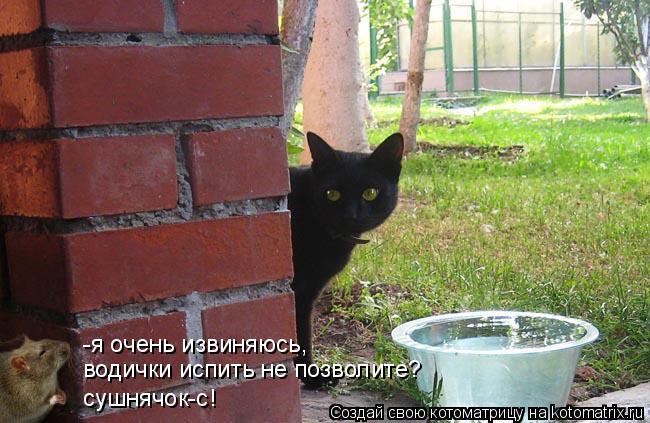 -я очень извиняюсь, водички испить не позволите? сушнячок-с!... Котоматрица: -я очень извиняюсь, водички испить не позволите? сушнячок-с!
