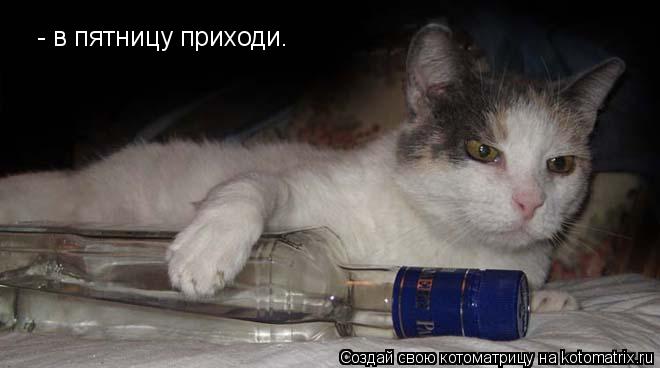- в пятницу приходи.... Котоматрица: - в пятницу приходи.