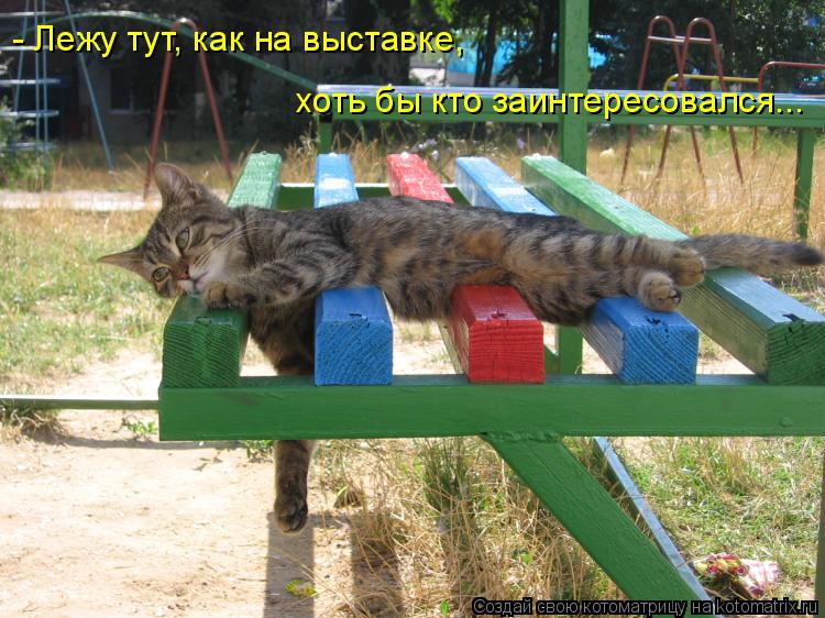 - Лежу тут, как на выставке, хоть бы кто заинтересовался...... Котоматрица: - Лежу тут, как на выставке, хоть бы кто заинтересовался...
