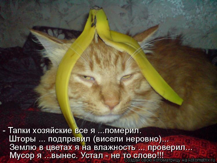 Шторы ... подправил (висели неровно)... Землю в цветах я на влажность ... проверил... - Тапки хозяйск... Котоматрица: Шторы ... подправил (висели неровно)... Землю в цветах я на влажность ... проверил... - Тапки хозяйские все я ...померил. Мусор я ...вынес. Устал - не