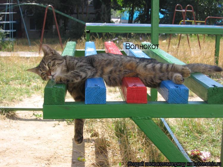 Волнокот... Котоматрица: Волнокот