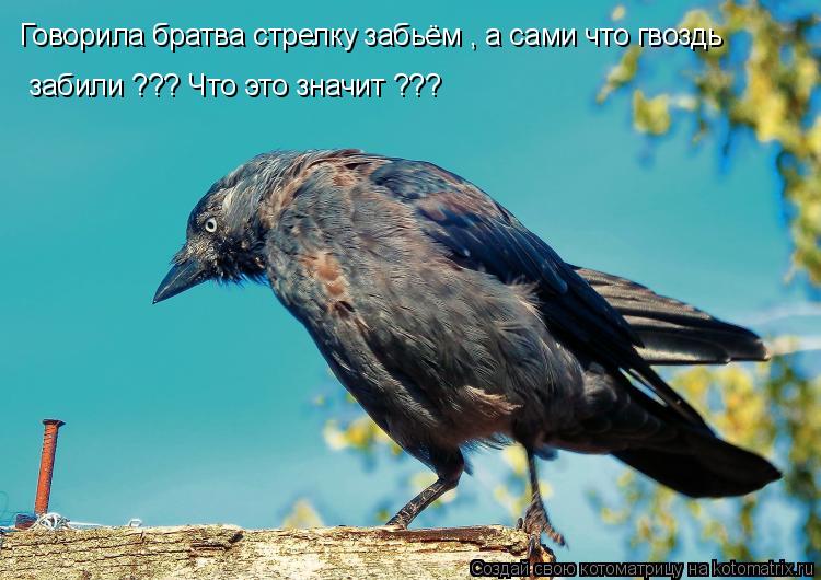 забили ??? Что это значит ??? Говорила братва стрелку забьём , а сами что гвоздь... Котоматрица: забили ??? Что это значит ??? Говорила братва стрелку забьём , а сами что гвоздь