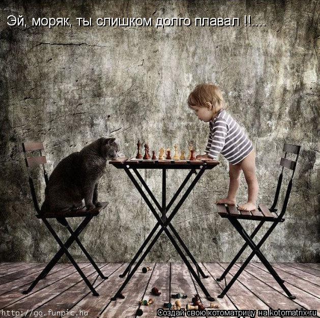 Эй, моряк, ты слишком долго плавал !!....... Котоматрица: Эй, моряк, ты слишком долго плавал !!....