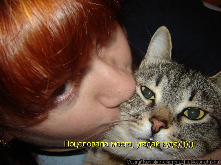 Поцеловала моего, угадай куда))))))... Котоматрица: Поцеловала моего, угадай куда))))))
