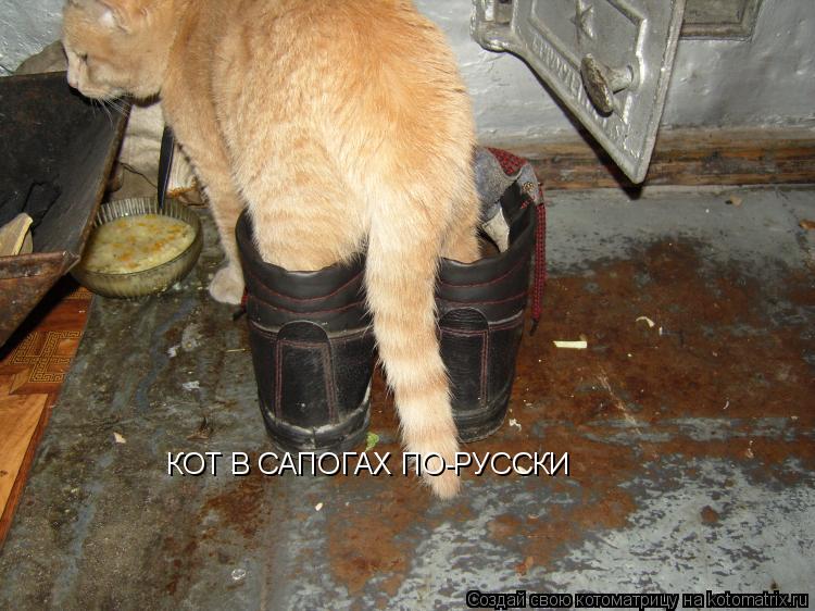 КОТ В САПОГАХ ПО-РУССКИ... Котоматрица: КОТ В САПОГАХ ПО-РУССКИ