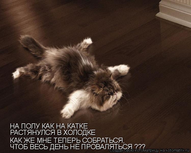 НА ПОЛУ КАК НА КАТКЕ РАСТЯНУЛСЯ В ХОЛОДКЕ ЧТОБ ВЕСЬ ДЕНЬ НЕ ПРОВАЛЯТЬСЯ ??? КАК ЖЕ МНЕ ТЕПЕРЬ СОБРАТЬ... Котоматрица: НА ПОЛУ КАК НА КАТКЕ РАСТЯНУЛСЯ В ХОЛОДКЕ ЧТОБ ВЕСЬ ДЕНЬ НЕ ПРОВАЛЯТЬСЯ ??? КАК ЖЕ МНЕ ТЕПЕРЬ СОБРАТЬСЯ,