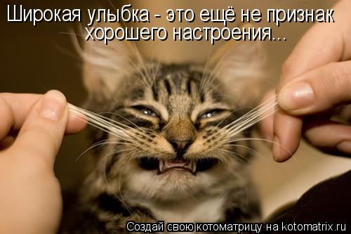 Широкая улыбка - это ещё не признак хорошего настроения...... Котоматрица: Широкая улыбка - это ещё не признак хорошего настроения...