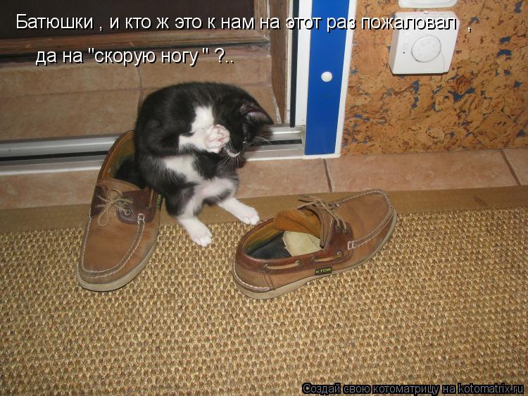 Батюшки , и кто ж это к нам на этот раз пожаловал да на "скорую ногу " ?.. ,... Котоматрица: Батюшки , и кто ж это к нам на этот раз пожаловал да на "скорую ногу " ?.. ,