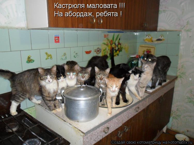 Кастрюля маловата !!! На абордаж, ребята !... Котоматрица: Кастрюля маловата !!! На абордаж, ребята !