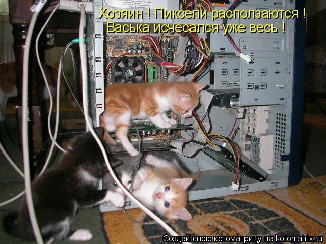 Хозяин ! Пиксели расползаются ! Васька исчесался уже весь !... Котоматрица: Хозяин ! Пиксели расползаются ! Васька исчесался уже весь !