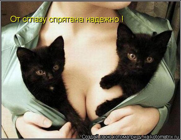 От сглазу спрятана надежно !... Котоматрица: От сглазу спрятана надежно !