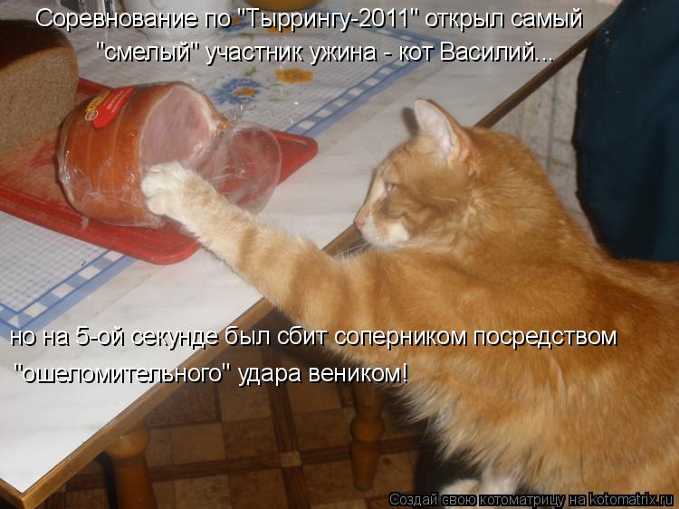 Соревнование по "Тыррингу-2011" открыл самый "смелый" участник ужина - кот Василий... но на 5-ой секу... Котоматрица: Соревнование по "Тыррингу-2011" открыл самый "смелый" участник ужина - кот Василий... но на 5-ой секунде был сбит соперником посредством "ошеломи
