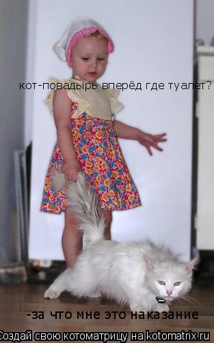 -за что мне это наказание кот-повадырь вперёд где туалет?... Котоматрица: -за что мне это наказание кот-повадырь вперёд где туалет?