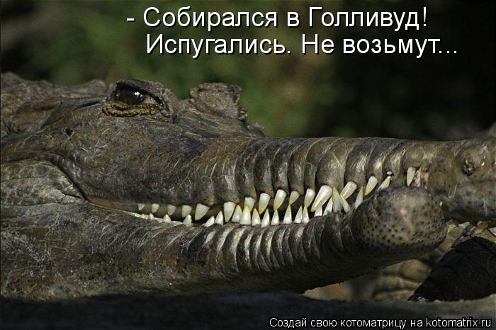- Собирался в Голливуд! Испугались. Не возьмут...... Котоматрица: - Собирался в Голливуд! Испугались. Не возьмут...