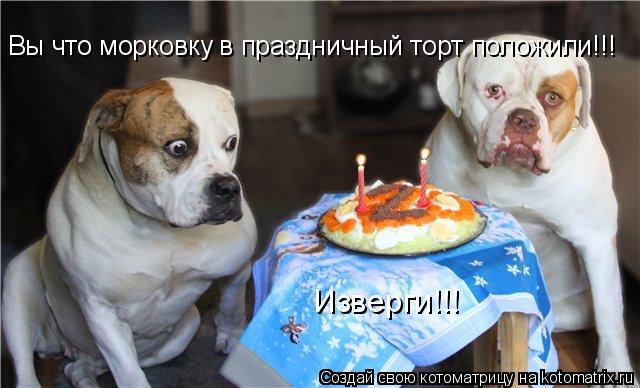 Вы что морковку в праздничный торт положили!!! Изверги!!!... Котоматрица: Вы что морковку в праздничный торт положили!!! Изверги!!!