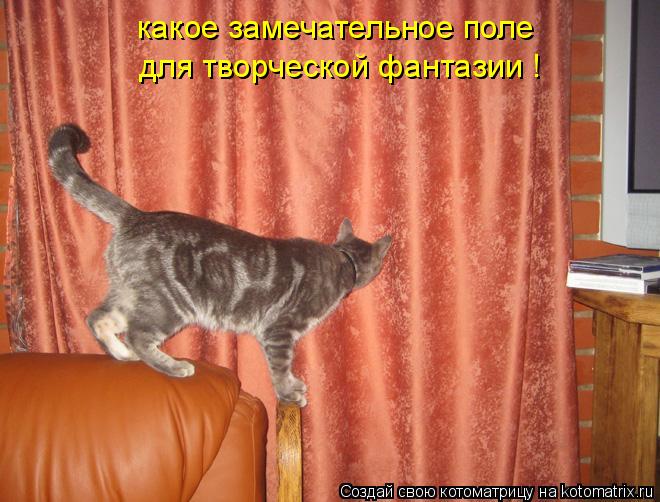 какое замечательное поле для творческой фантазии !... Котоматрица: какое замечательное поле для творческой фантазии !