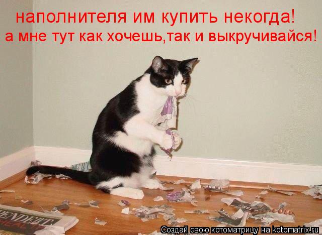 наполнителя им купить некогда! а мне тут как хочешь,так и выкручивайся!... Котоматрица: наполнителя им купить некогда! а мне тут как хочешь,так и выкручивайся!