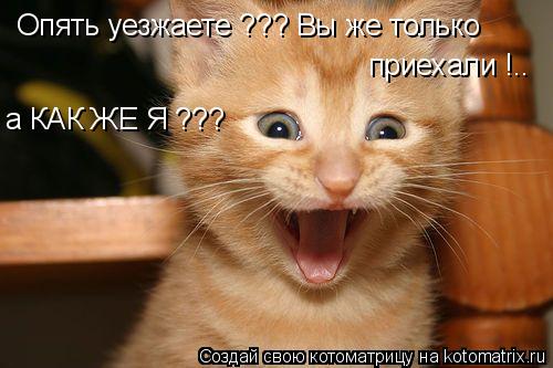 Опять уезжаете ??? Вы же только приехали !.. а КАК ЖЕ Я ???... Котоматрица: Опять уезжаете ??? Вы же только приехали !.. а КАК ЖЕ Я ???