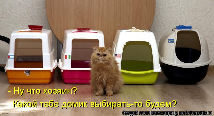 - Ну что хозяин? Какой тебе домик выбирать-то будем?... Котоматрица: - Ну что хозяин? Какой тебе домик выбирать-то будем?