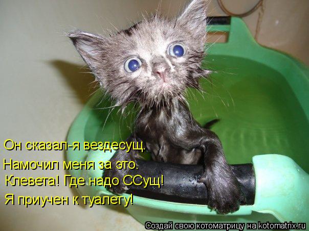 Он сказал-я вездесущ. Намочил меня за это. Клевета! Где надо ССущ! Я приучен к туалету!... Котоматрица: Он сказал-я вездесущ. Намочил меня за это. Клевета! Где надо ССущ! Я приучен к туалету!