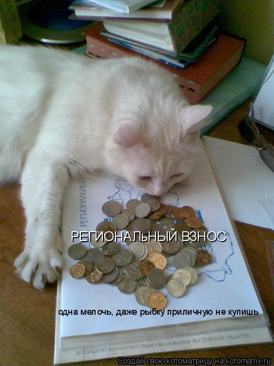 РЕГИОНАЛьНЫЙ ВЗНОС одна мелочь, даже рыбку приличную не купишь... Котоматрица: РЕГИОНАЛьНЫЙ ВЗНОС одна мелочь, даже рыбку приличную не купишь