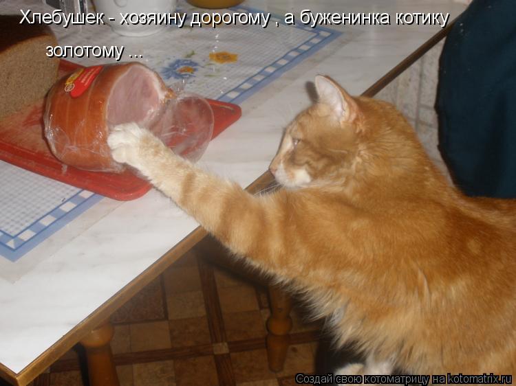 Хлебушек - хозяину дорогому , а буженинка котику золотому ...... Котоматрица: Хлебушек - хозяину дорогому , а буженинка котику золотому ...