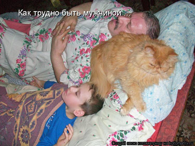 Как трудно быть мужчиной ...... Котоматрица: Как трудно быть мужчиной ...