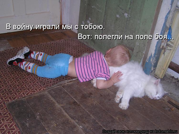 В войну играли мы с тобою. Вот: полегли на поле боя...... Котоматрица: В войну играли мы с тобою. Вот: полегли на поле боя...