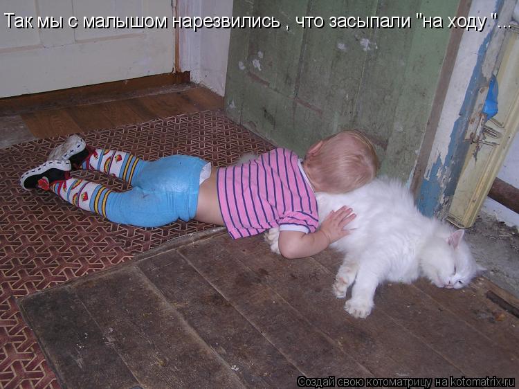 Так мы с малышом нарезвились , что засыпали "на ходу "...... Котоматрица: Так мы с малышом нарезвились , что засыпали "на ходу "...