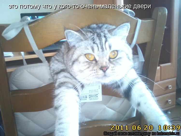 это потому что у кого-то очень маленькие двери... Котоматрица: это потому что у кого-то очень маленькие двери
