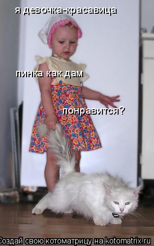 я девочка-красавица пинка как дам понравится?... Котоматрица: я девочка-красавица пинка как дам понравится?