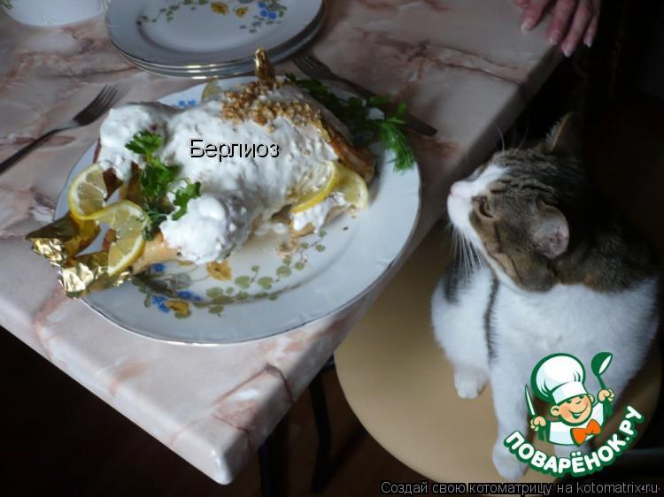Берлиоз... Котоматрица: Берлиоз