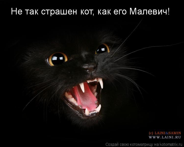 Не так страшен кот, как его Малевич!... Котоматрица: Не так страшен кот, как его Малевич!