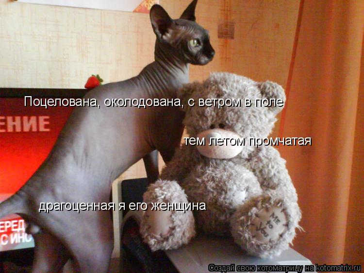 Поцелована, околодована, с ветром в поле тем летом промчатая драгоценная я его женщина... Котоматрица: Поцелована, околодована, с ветром в поле тем летом промчатая драгоценная я его женщина