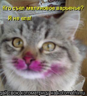Кто съел малиновое варьенье? Я не ела!... Котоматрица: Кто съел малиновое варьенье? Я не ела!