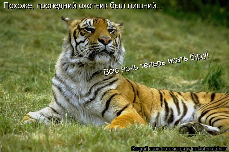 Котоматрица: Всю ночь теперь икать буду! Похоже, последний охотник был лишний...