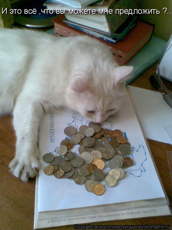 Котоматрица: И это всё ,что вы можете мне предложить ?..