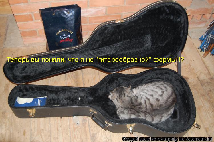 Теперь вы поняли, что я не "гитарообразной" формы!!?... Котоматрица: Теперь вы поняли, что я не "гитарообразной" формы!!?