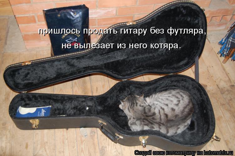пришлось продать гитару без футляра, не вылезает из него котяра.... Котоматрица: пришлось продать гитару без футляра, не вылезает из него котяра.